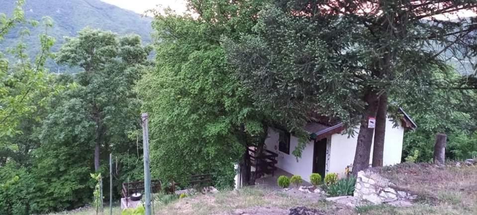 Vila Eva Meduvrsje Exteriér fotografie