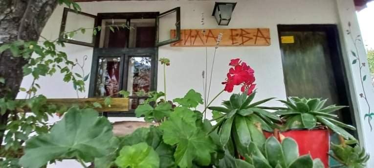 Vila Eva Meduvrsje Exteriér fotografie