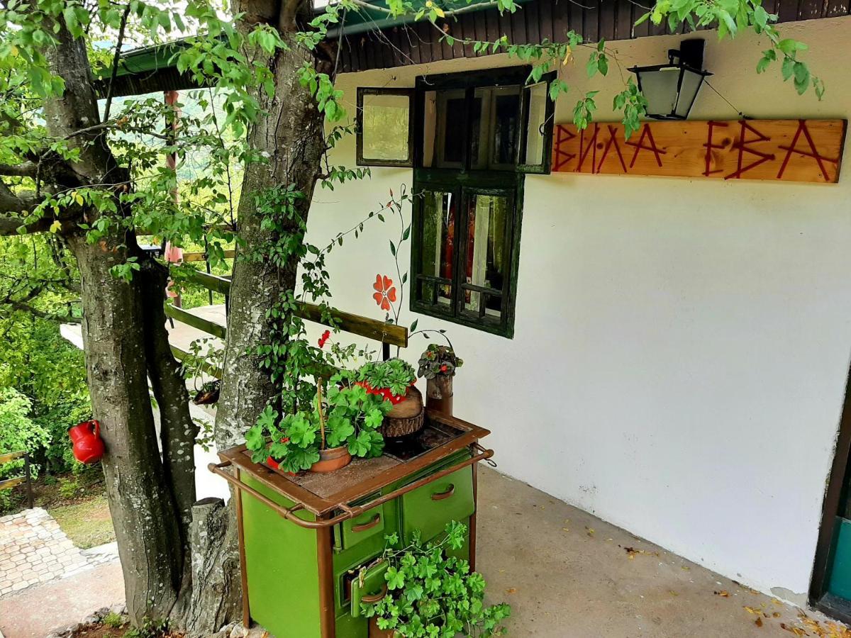 Vila Eva Meduvrsje Exteriér fotografie