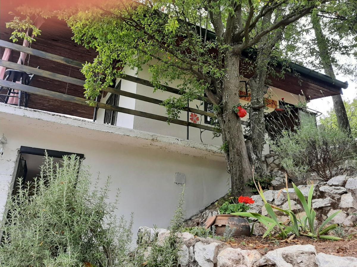Vila Eva Meduvrsje Exteriér fotografie