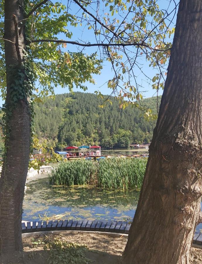 Vila Eva Meduvrsje Exteriér fotografie
